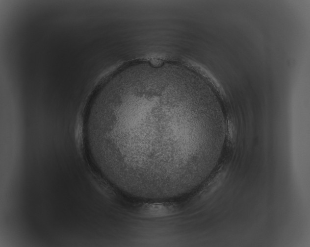 X0000103150588200808291431