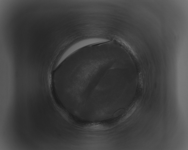 X0000103150589200808291431