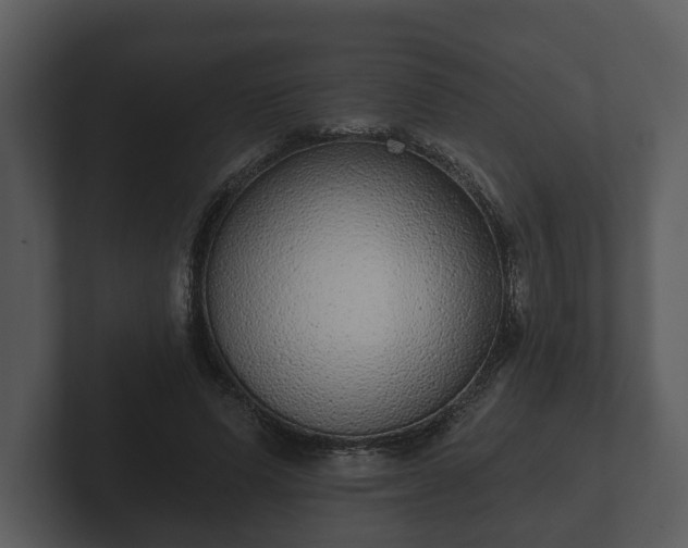 X0000103150591200808291431