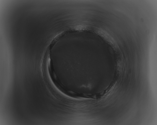 X0000103150592200808291431