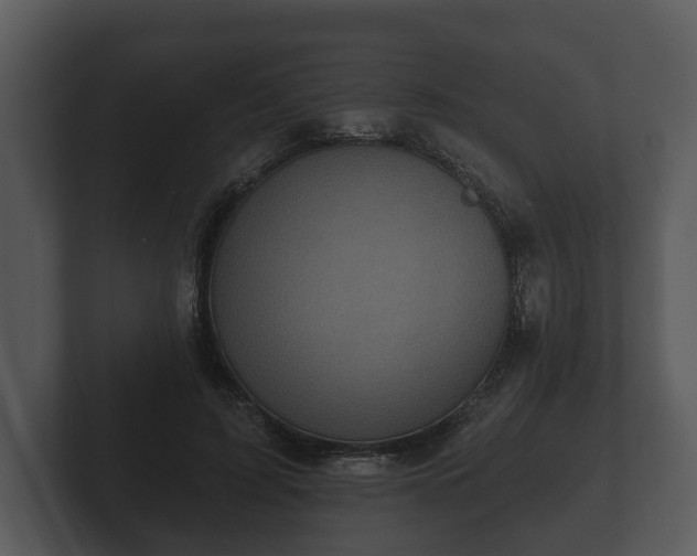 X0000103150595200808291431