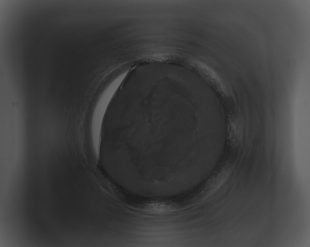 X0000103150596200808291431