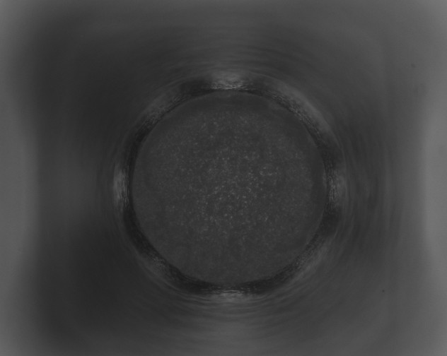 X0000103150598200808291431