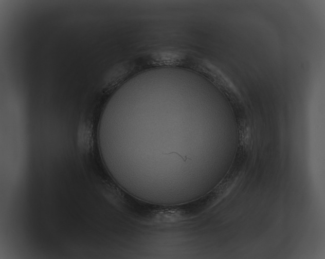 X0000103150599200808291431