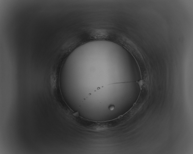 X0000103150604200808291431