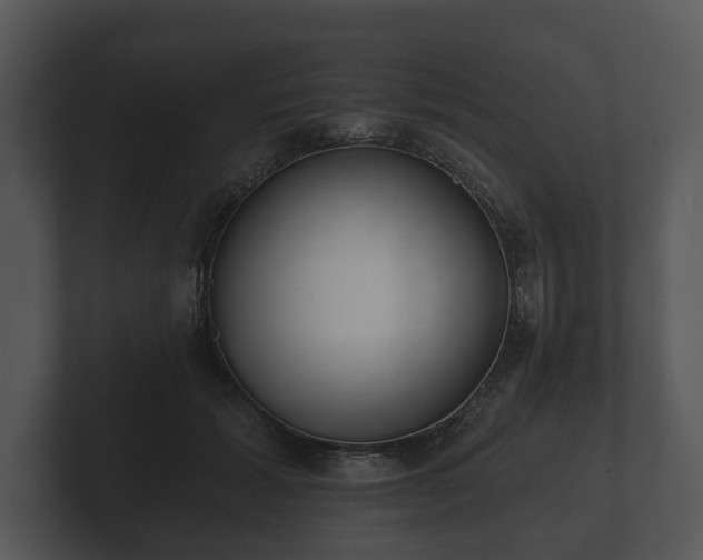 X0000103150605200808291431