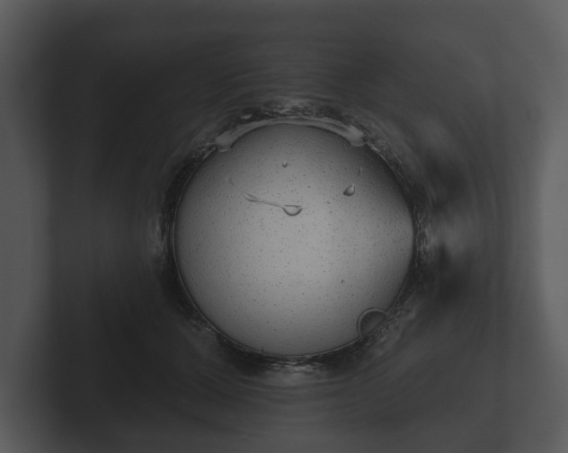 X0000103150607200808291431