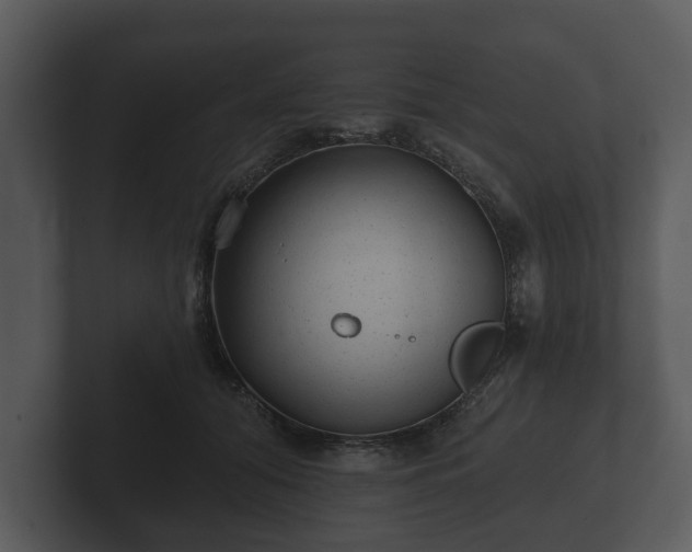 X0000103150608200808291431