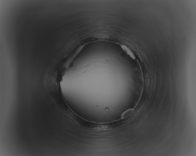 X0000103150609200808291431