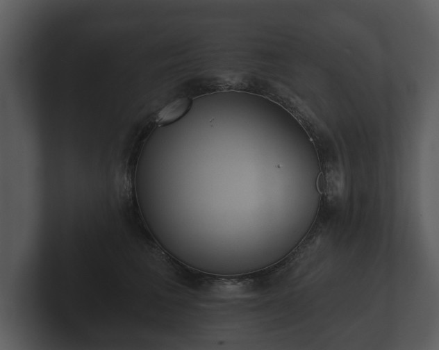 X0000103150613200808291431