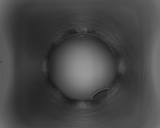 X0000103150616200808291431