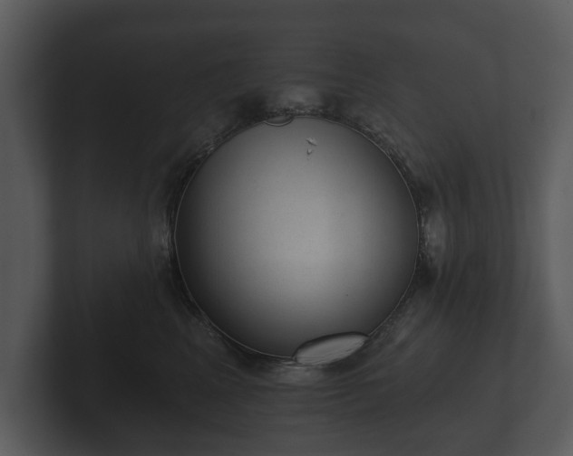 X0000103150617200808291431