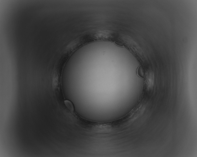 X0000103150619200808291431