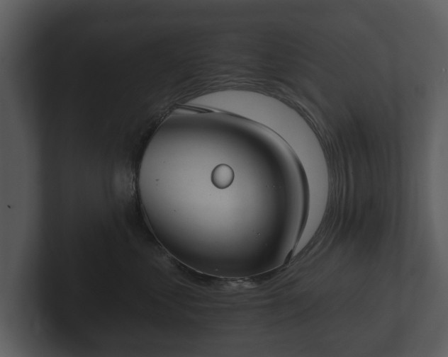 X0000103150621200808291431