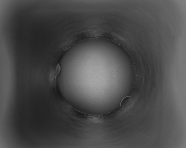 X0000103150624200808291431