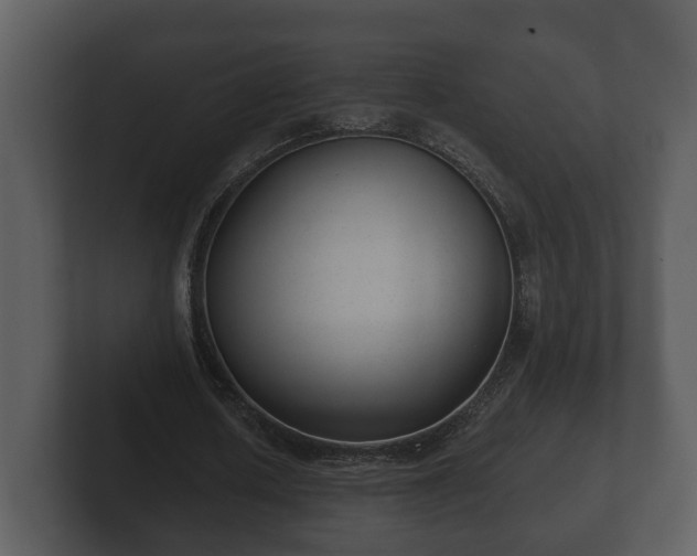 X0000103150626200808291430