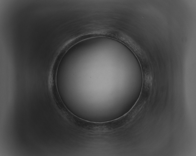 X0000103150628200808291430