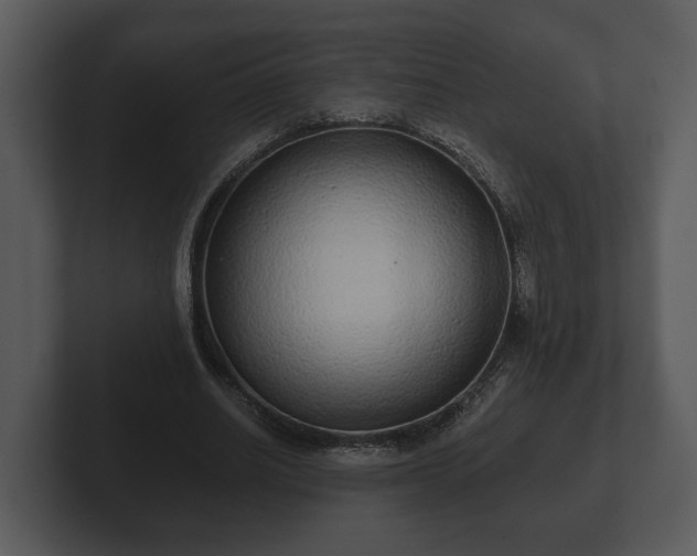 X0000103150630200808291430