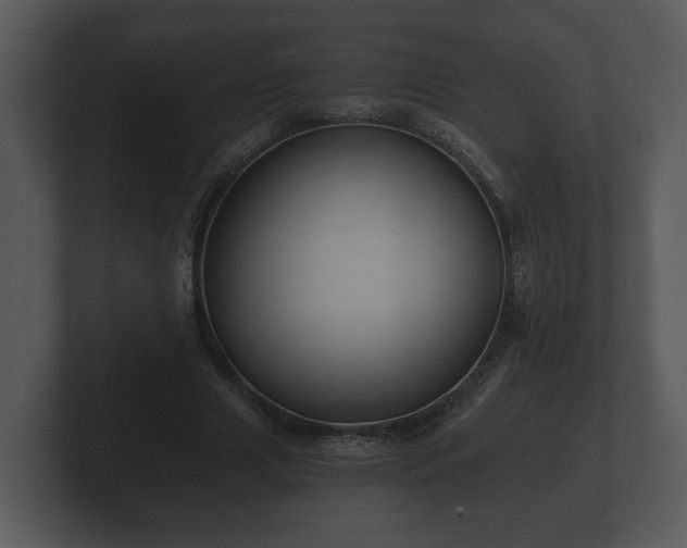 X0000103150633200808291430