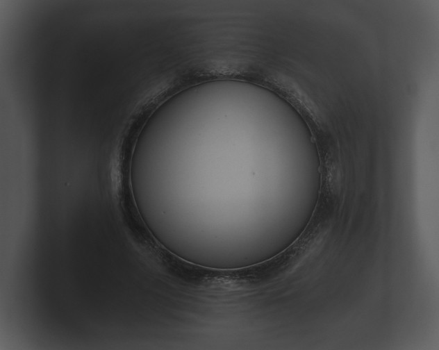 X0000103150635200808291430