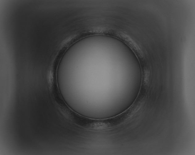 X0000103150636200808291430