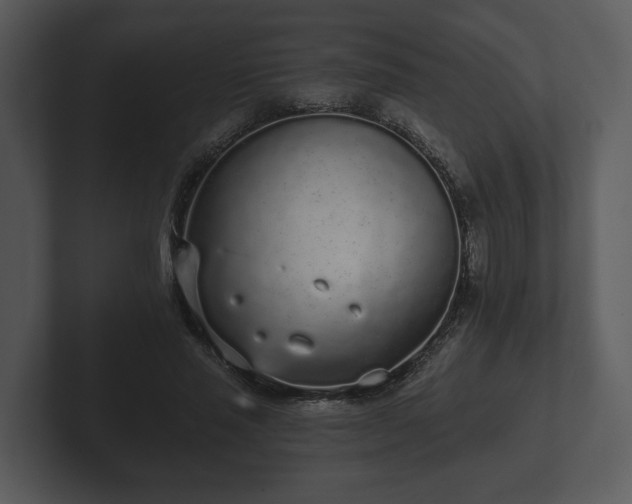 X0000103150637200808291430