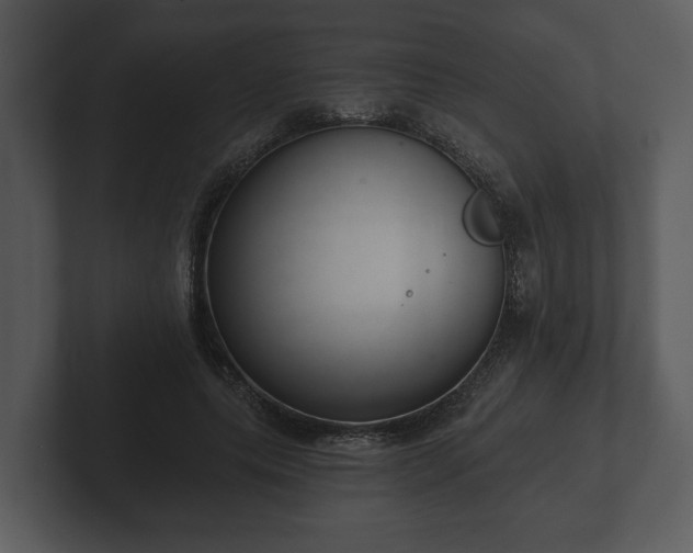 X0000103150639200808291431