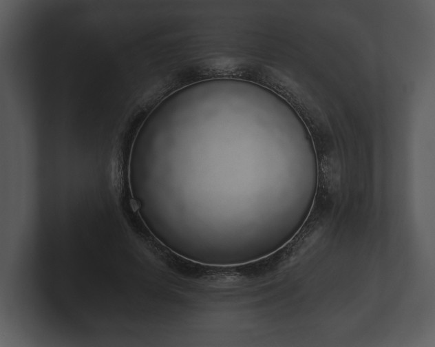 X0000103150642200808291431