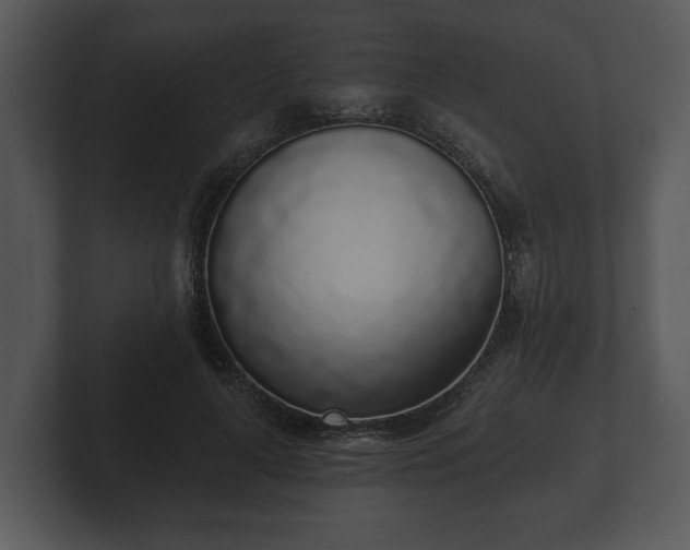 X0000103150643200808291431