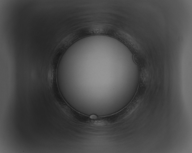 X0000103150645200808291431