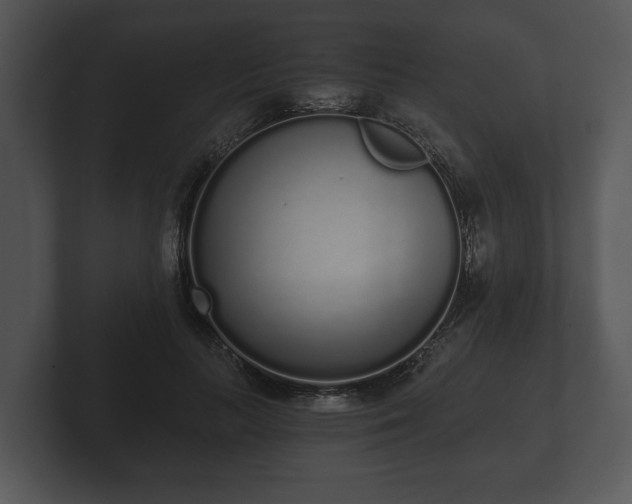 X0000103150647200808291431