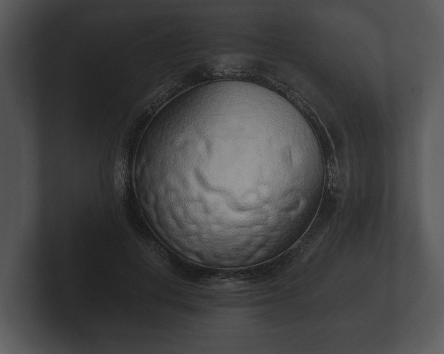 X0000103150648200808291431