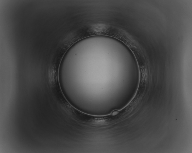 X0000103150651200808291431