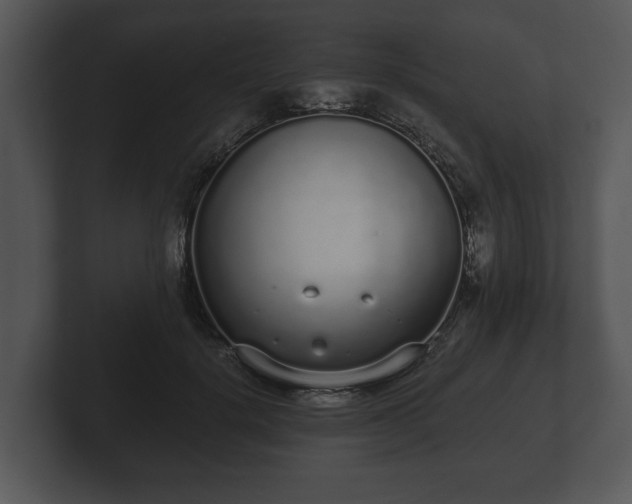 X0000103150652200808291431