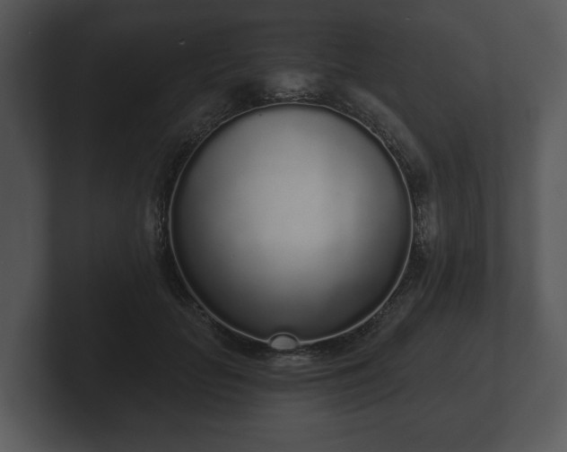 X0000103150653200808291431