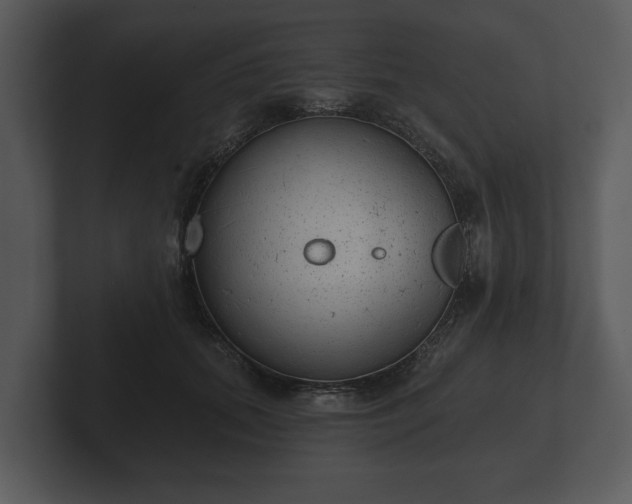 X0000103150655200808291431