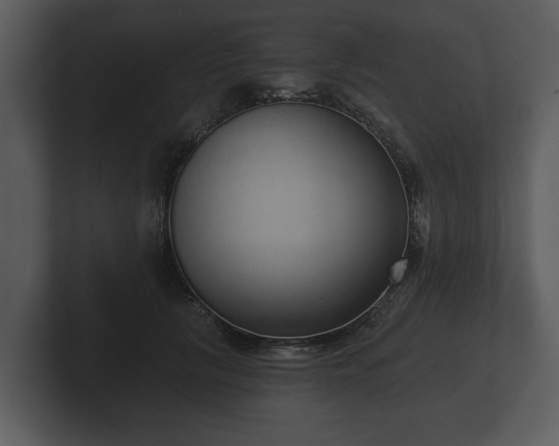 X0000103150657200808291431