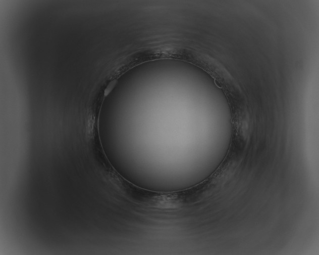 X0000103150660200808291431