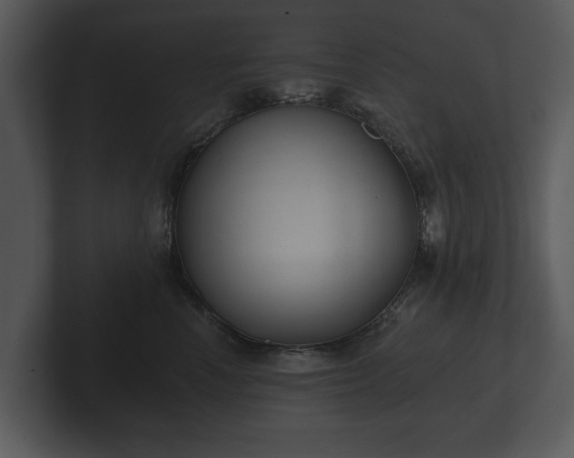 X0000103150666200808291431