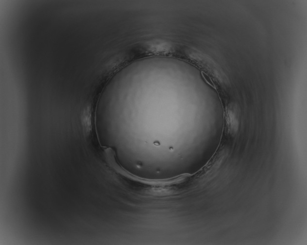 X0000103150668200808291431