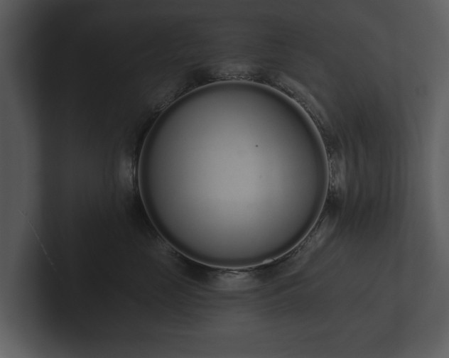 X0000103150669200808291431