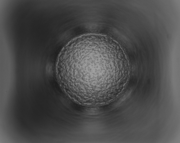 X0000103150671200808291431