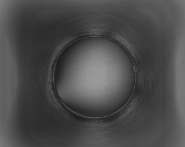 X0000103150673200808291430