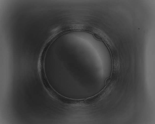 X0000103150674200808291430