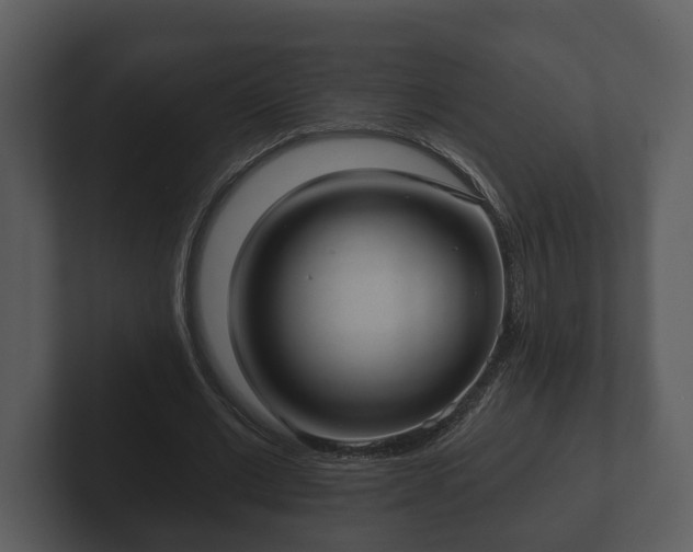 X0000103150677200808291430