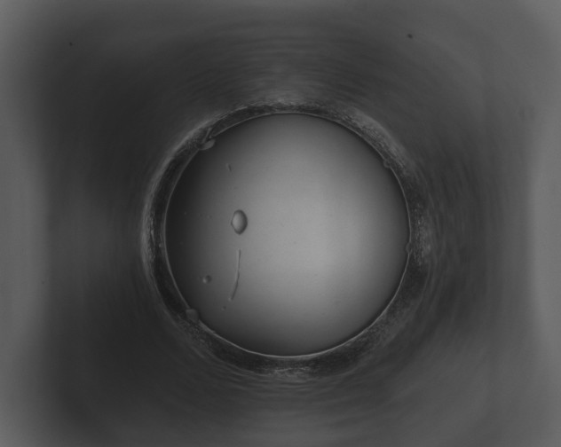 X0000103150680200808291430