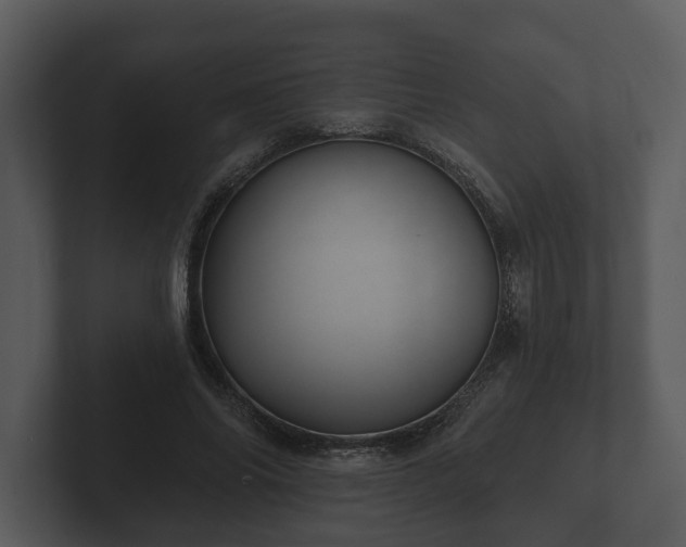 X0000103150686200808291430