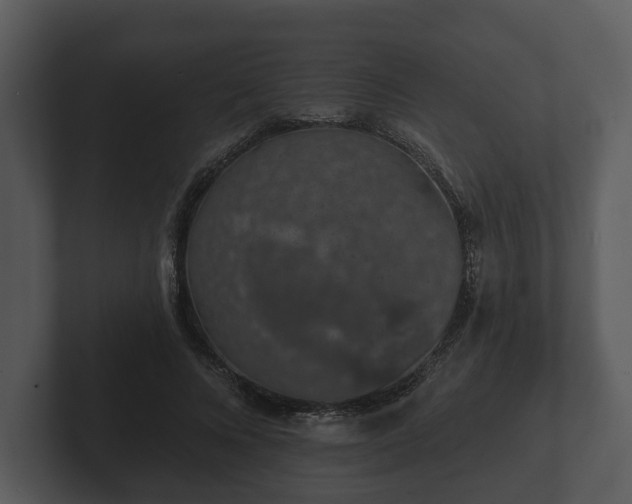 X0000103150688200808291430