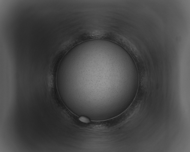 X0000103150689200808291430