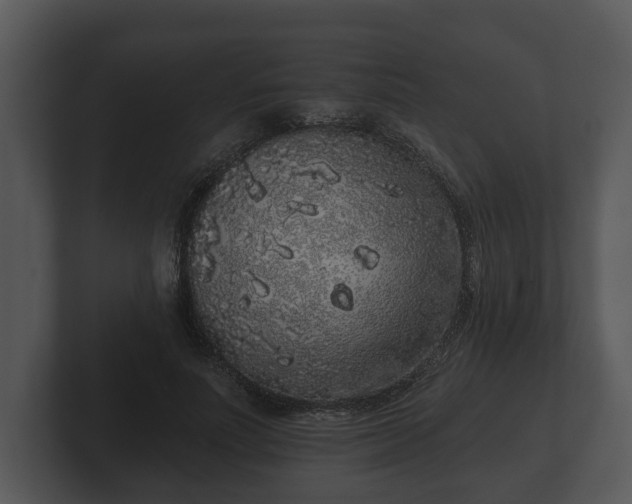 X0000103150691200808291430